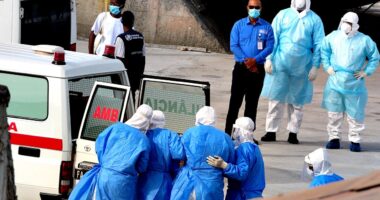 Argentina investigators zero in on possible origin point of hantavirus in deadly cruise outbreak