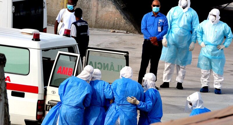 Argentina investigators zero in on possible origin point of hantavirus in deadly cruise outbreak