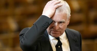 Armed man arrested after former prince Andrew reportedly threatened