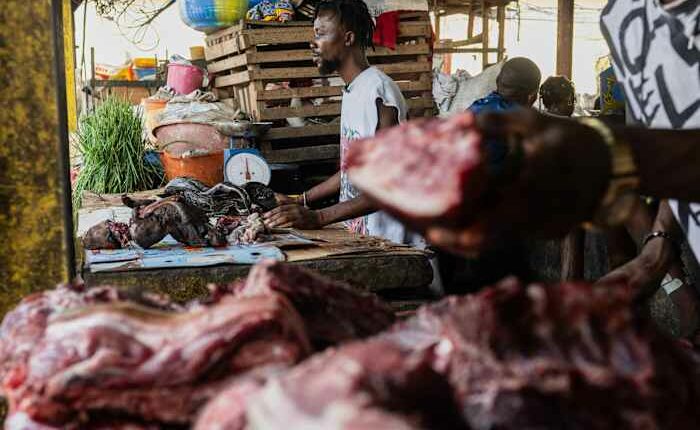 As Ebola scourges Congo, experts warn of link to eating wild animals