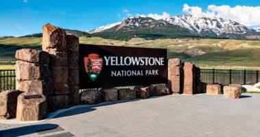 Bear attack in Yellowstone National Park leaves 2 hikers injured