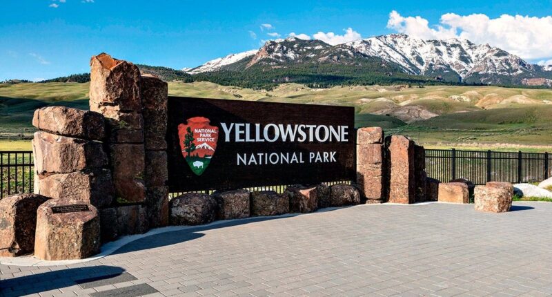 Bear attack in Yellowstone National Park leaves 2 hikers injured
