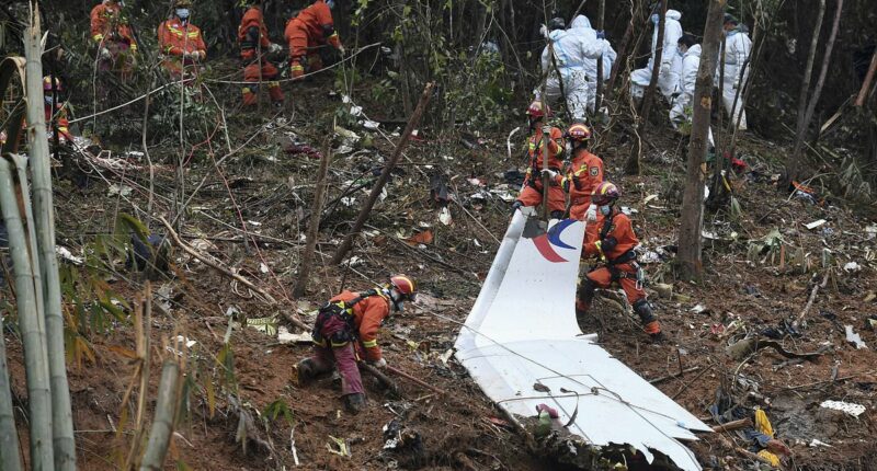 Beijing 'covered up plane suicide crash that killed all 132 on board'