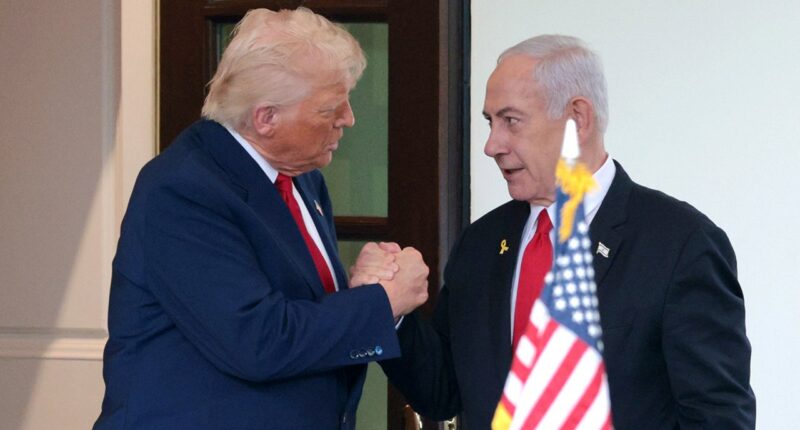 'Bibi's hair on fire': Trump-Netanyahu public 'rift' masked unified front against Iran, analyst says