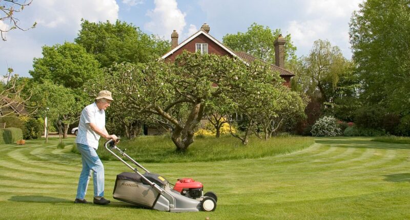 Bigger gardens could be have penalties under new green plans