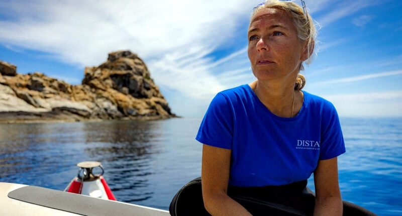 Bodies of four missing Italian divers found inside 'shark cave' in Maldives days after they vanished