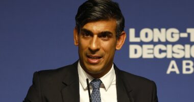 Border force teams are poised to rescue 200 Britons trapped in Gaza as Rishi Sunak pushes for a pause in the fighting to allow aid to reach besieged Palestinians