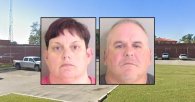 Boy, 14, was dragged 'face down' through dog urine: Deputies