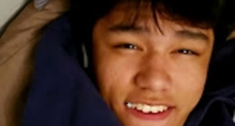 Boy, 16, to be tried as adult for beating adoptive mother to death