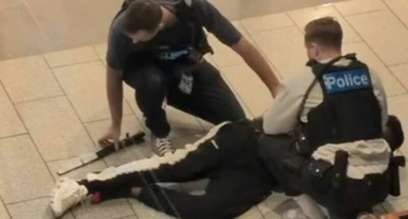 Boy allegedly holding machete during dramatic shopping centre arrest
