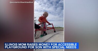 Boy with Schwartz Jampel Syndrome, known online as @Wonderfullifewithbedford raises money for accessible playground in Kankakee