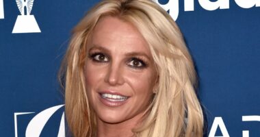 Britney Spears a no-show at rare family reunion