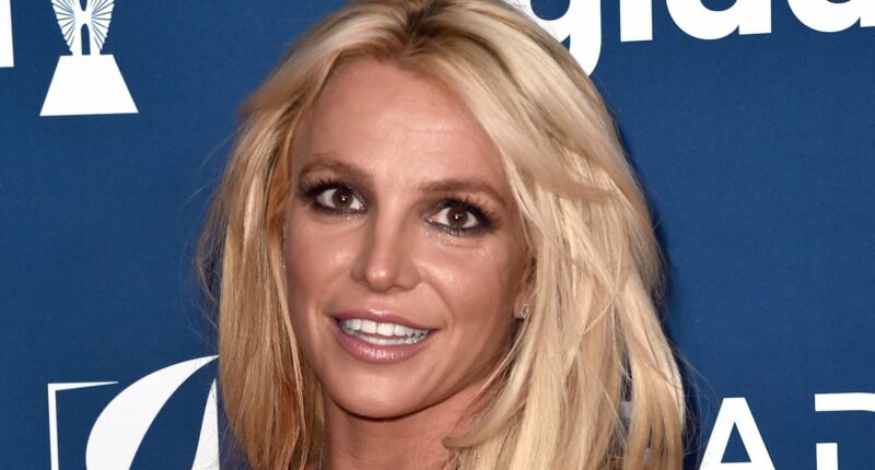 Britney Spears a no-show at rare family reunion