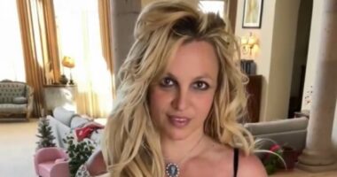 Britney Spears officially charged with DUI weeks after LA arrest