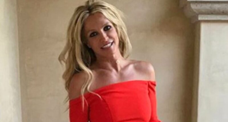 Britney Spears seen 'barking and carrying knife' at restaurant