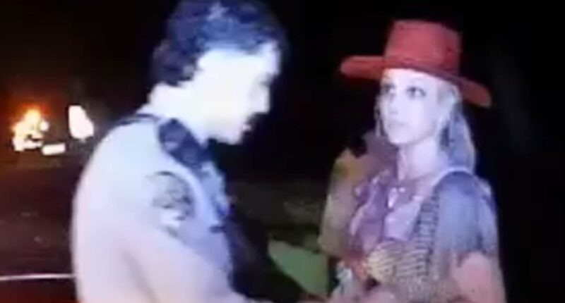 Britney Spears 'used British accent and offered lasagne' during arrest
