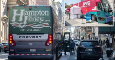 Bus firms sue NYC anti-idling law that is making 'bounty hunters' rich