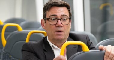 Bus services across the UK look set to be brought back under public control after Manchester becomes the first to take its fleet out of private hands