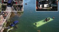 Bus sinks in River Seine after trainee driver crashes