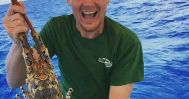 The victim of a horror shark attack in Far North Queensland has been identified as Cairns father Michael Jensz.