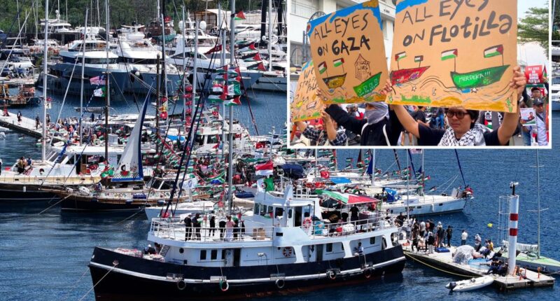 California activists part of flotilla deported for trying to enter Gaza