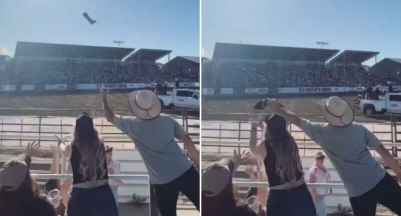 California dad Marco Caracas caught grabbing rodeo T-shirt from woman for his daughter in viral video