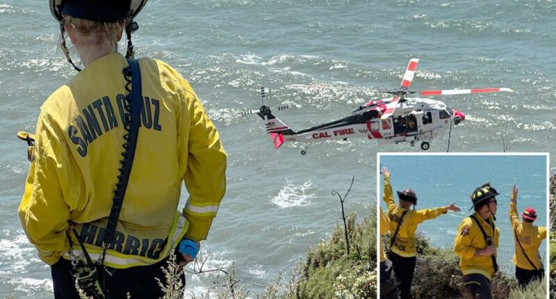 California man dies after driving off beachside cliff along Highway 1