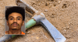 California man sentenced to prison for using pickaxe to kill teen brother with cerebral palsy