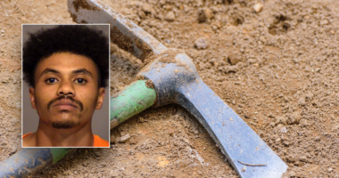 California man sentenced to prison for using pickaxe to kill teen brother with cerebral palsy