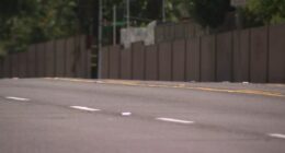 California mother now charged with involuntary manslaughter after 81-year-old man dies following e-motorcycle accident