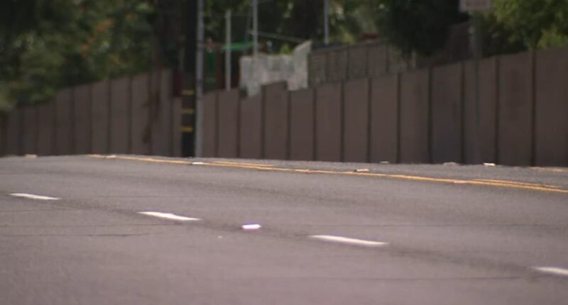California mother now charged with involuntary manslaughter after 81-year-old man dies following e-motorcycle accident