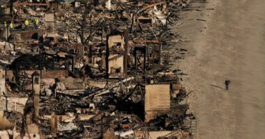 California says State Farm violated the law in handling of insurance claims after 2025 Los Angeles wildfires