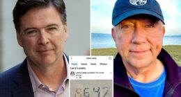 California vice mayor Larry Lang ripped after commenting '86 47' on state GOP's online post