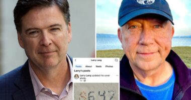 California vice mayor Larry Lang ripped after commenting '86 47' on state GOP's online post