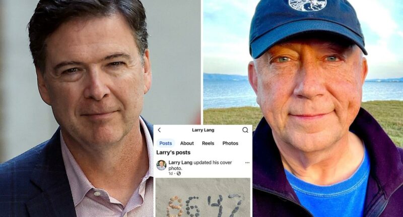 California vice mayor Larry Lang ripped after commenting '86 47' on state GOP's online post