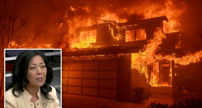 California wildfire survivor rips insurers, state government for failing victims' recovery