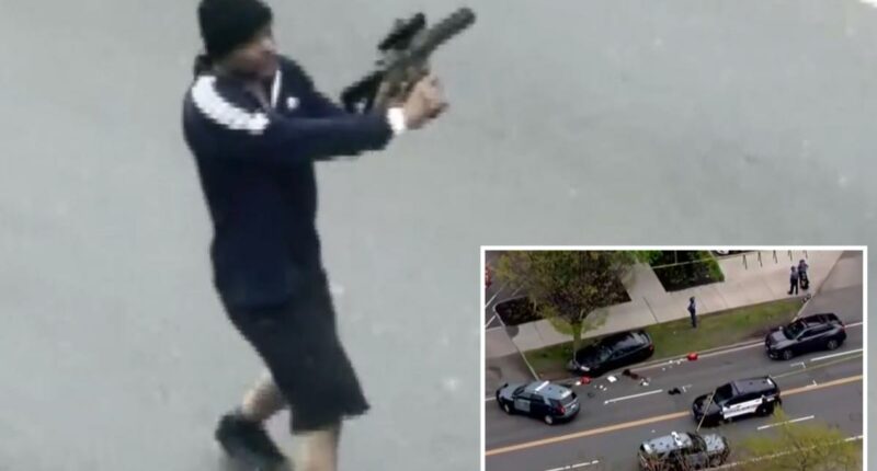 Cambridge gunman shot by cops after opening fire on passing cars at random