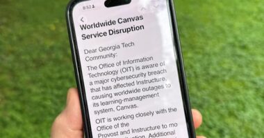 Canvas system used by thousands of schools is back online after a cyberattack disrupted studies