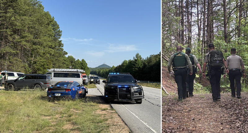 Cartel creep among 25 illegal immigrants caught turning scenic forests into lawless hideouts, police say