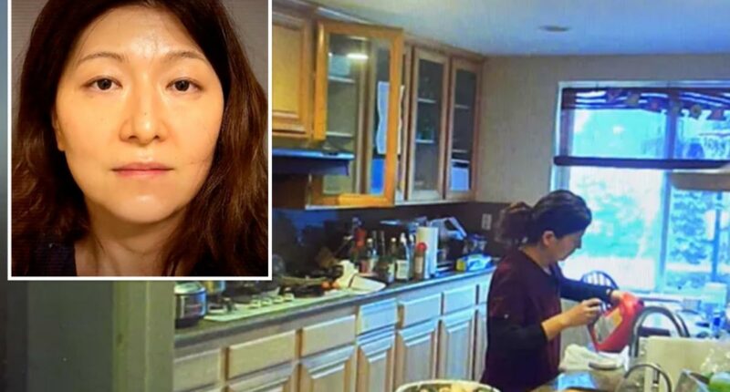 Case dismissed for Orange County doctor accused of poisoning husband with Drano