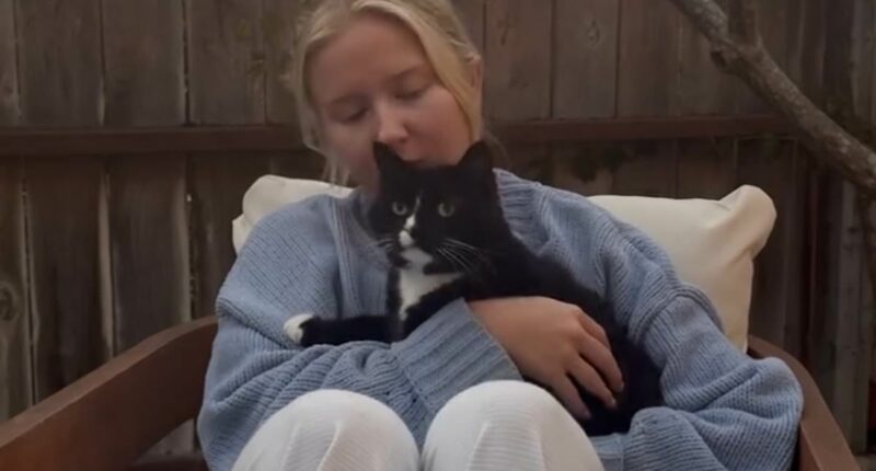 Cat owner furious after pet killed by COYOTES after sitter let it out