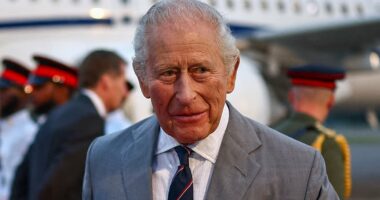 Charles touches down in Bermuda after triumphant four-day state visit