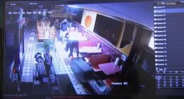 Chicago crime: Burglars steal ATM from Taqueria San Jose Mexican restaurant on South Halsted Street in Bridgeport, video shows