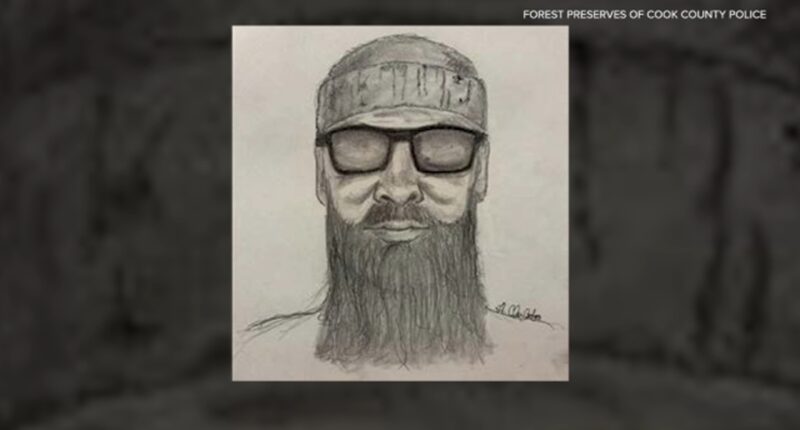 Chicago crime: Sketch shows suspect of sexual assault at LaBagh Woods, Forest Preserves of Cook County police say