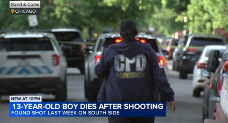 Chicago shooting: 13-year-old boy DeAntwan McKeever dies week after being shot in head on South Coles Avenue in South Chicago