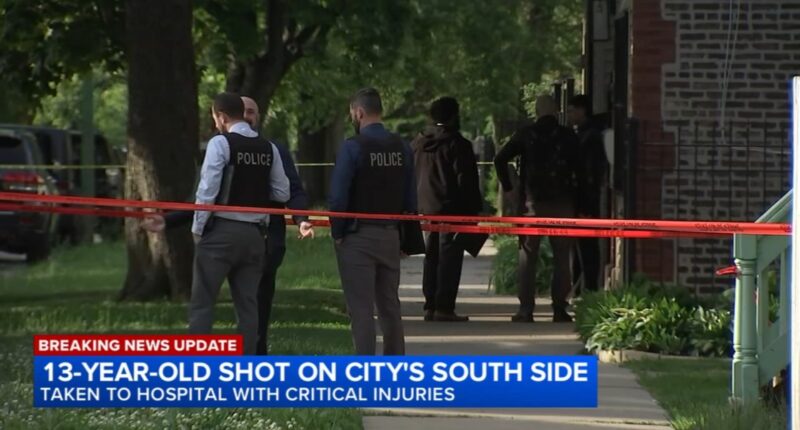 Chicago shooting: 13-year-old boy shot in head, critically injured on South Coles Avenue in South Chicago, police say