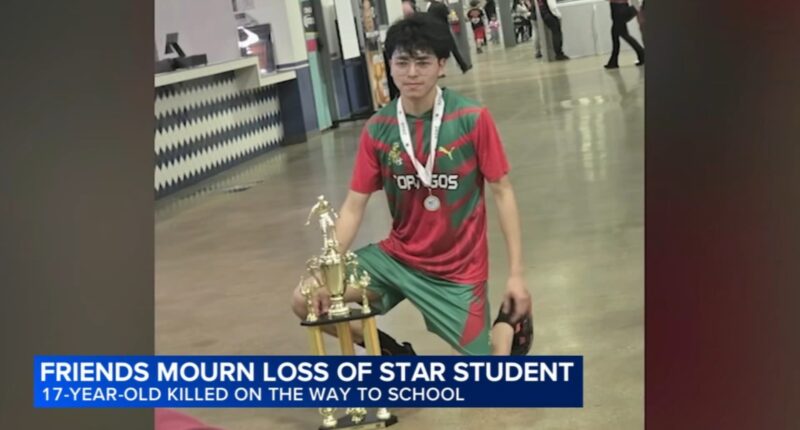 Chicago shooting: Person in custody released after Tilden High School student Pedro Ramirez shot, killed in Back of the Yards