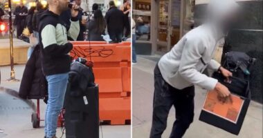 Chicago street performer robbed in broad daylight by teenage thief in viral video
