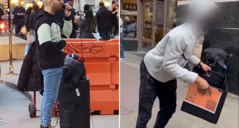 Chicago street performer robbed in broad daylight by teenage thief in viral video