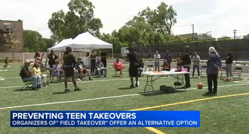 Chicago teen takeover prevention: A Boy and His Dream hosts Mollison Elementary Restore the Youth Field Takeover in Bronzeville